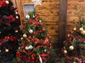 December 16th - Christmas Tree Festival