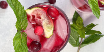 Cranberry Gin Mule Cocktail
