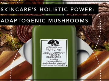 Skincare’s Holistic Power: Adaptogenic Mushrooms