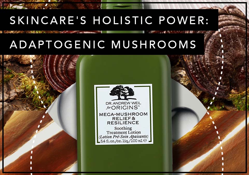 Skincare’s Holistic Power: Adaptogenic Mushrooms