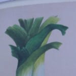 A Bit About Leeks