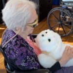 A woman at a skilled nursing facility in Seattle, WA, interacts with FDA-approved seal robot PARO.