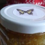 J is for Jam (and other things) Again