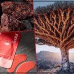 Unlocking the Mystique of Dragon’s Blood in Skincare