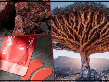 Unlocking the Mystique of Dragon’s Blood in Skincare