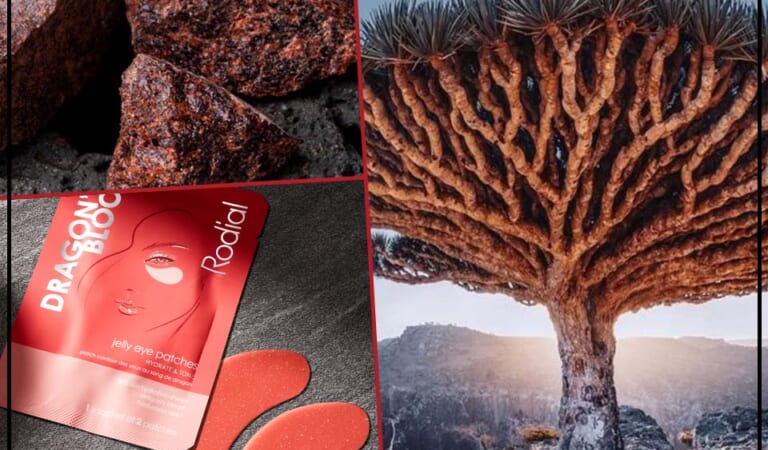Unlocking the Mystique of Dragon’s Blood in Skincare