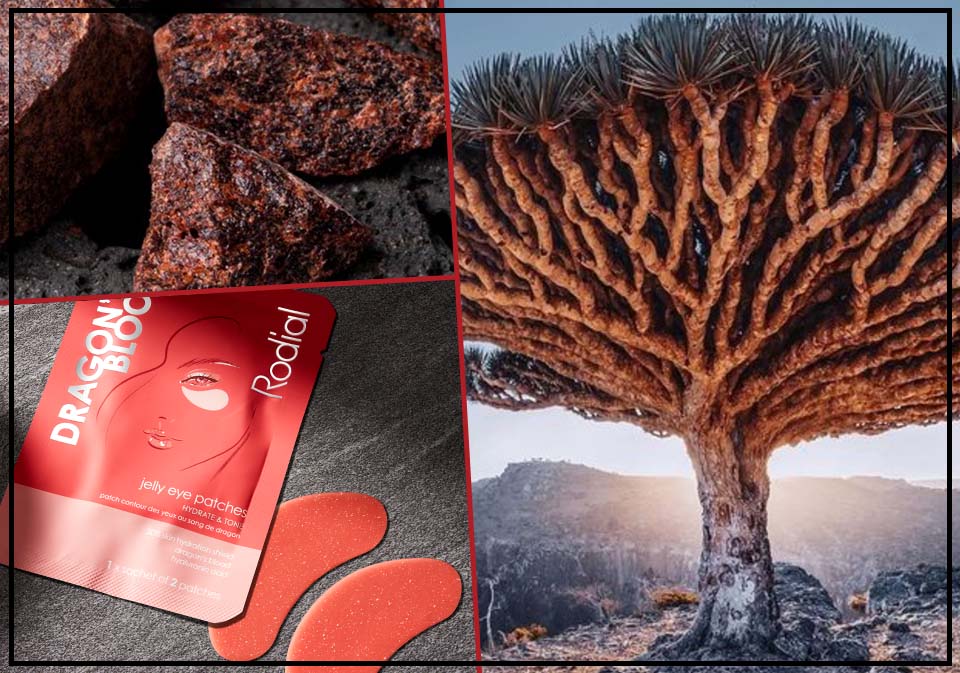 Unlocking the Mystique of Dragon’s Blood in Skincare