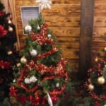December 16th - Christmas Tree Festival