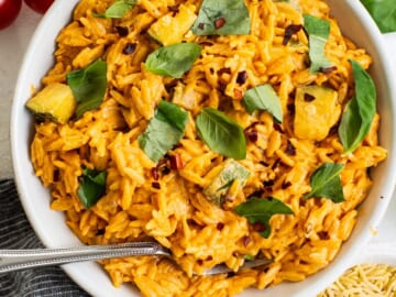 Creamy Tomato Orzo Pasta