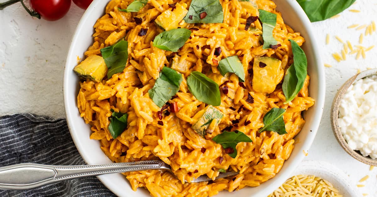 Creamy Tomato Orzo Pasta