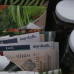 Looking in the Seed Tin