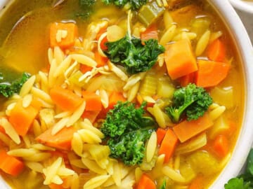 A bowl of chicken noodle soup with carrots and kale.