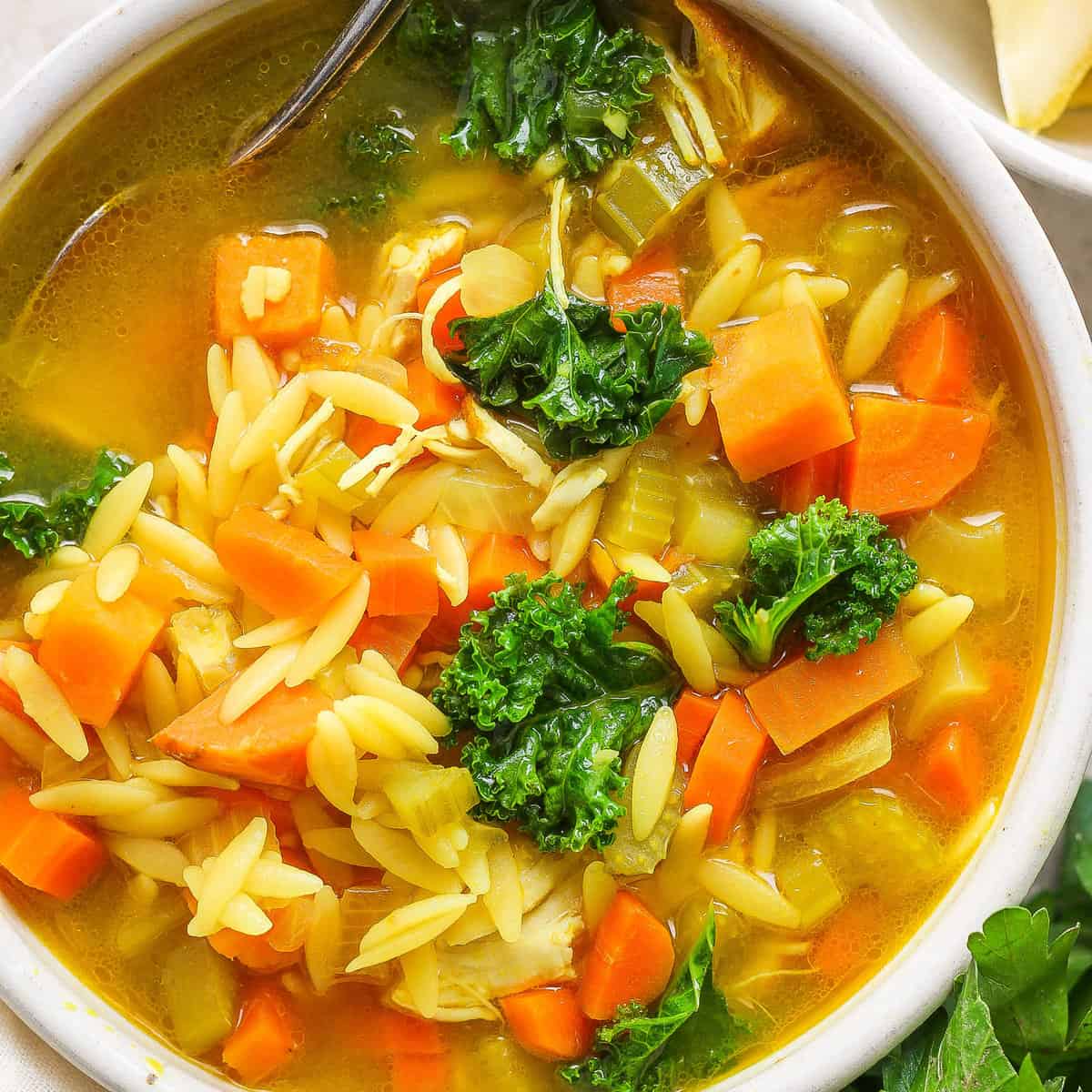 A bowl of chicken noodle soup with carrots and kale.