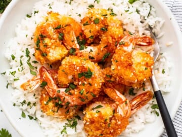 A bowl of shrimp and rice with a fork.
