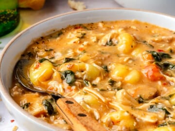 Chicken Gnocchi Soup