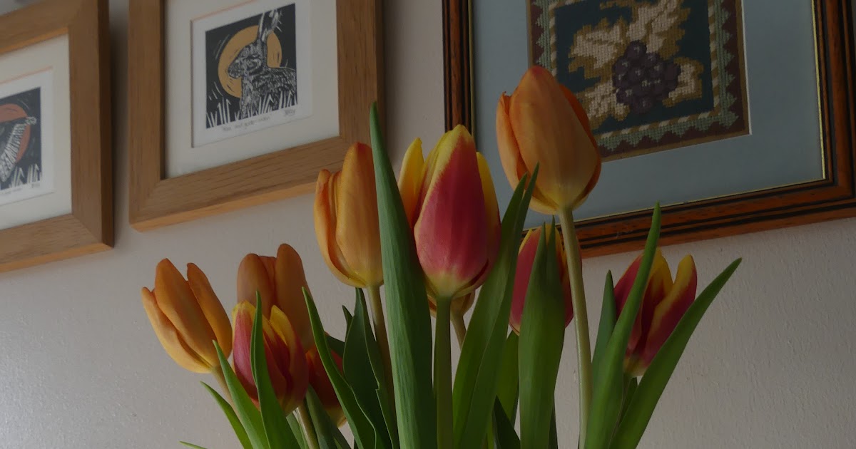 Tulips Again, Shopping and Books 15th