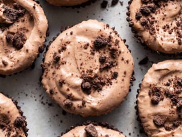 Chocolate cupcakes with chocolate frosting and chocolate chips.