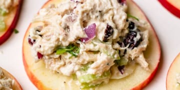 Cranberry Chicken Salad on Apple Slices 