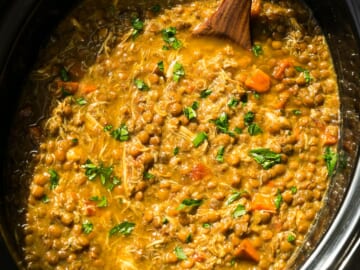 Slow Cooker Chicken and Lentil Soup