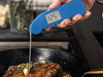 The 5 Best Meat Thermometers of 2024