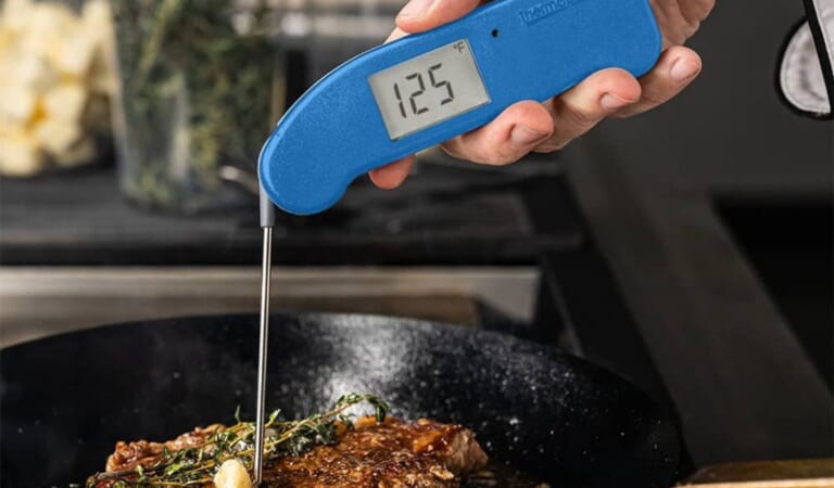 The 5 Best Meat Thermometers of 2024